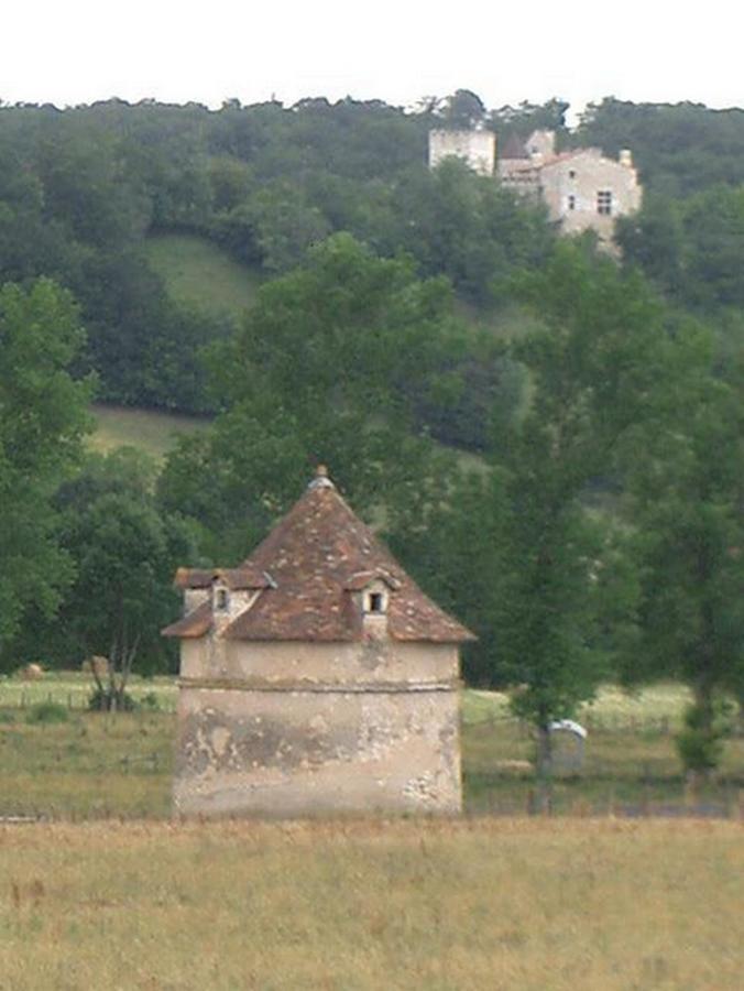 Hotel Le Relais Du Chateau Grignols  المظهر الخارجي الصورة